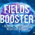 【Maitreya Fields】加速+敏感 Fields Booster + Increased Energy Sen