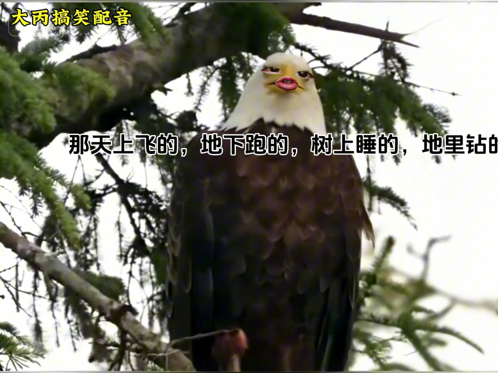 雕：阎王给你下KPI了？