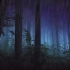 3小时 夜晚森林的暴雨（无雷声） 适合学习休息的白噪音