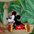 【米奇的花园】Mickey's.Garden 1935 米老鼠的彩色动画片生涯