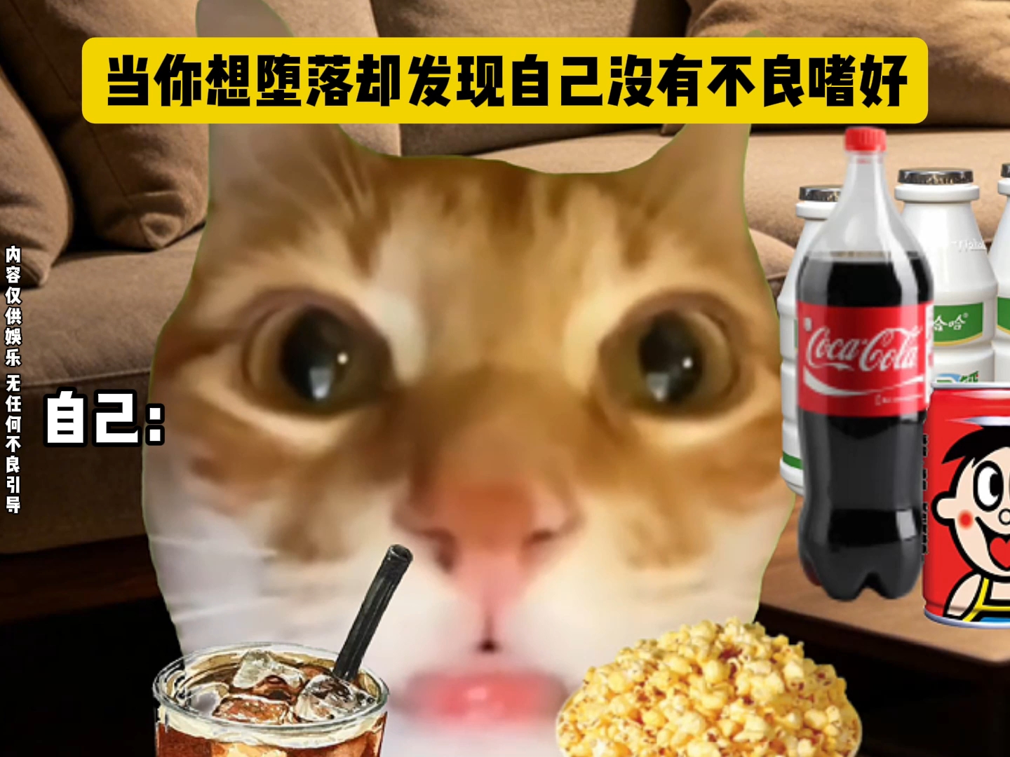 当你想堕落却发现自己没有不良嗜好