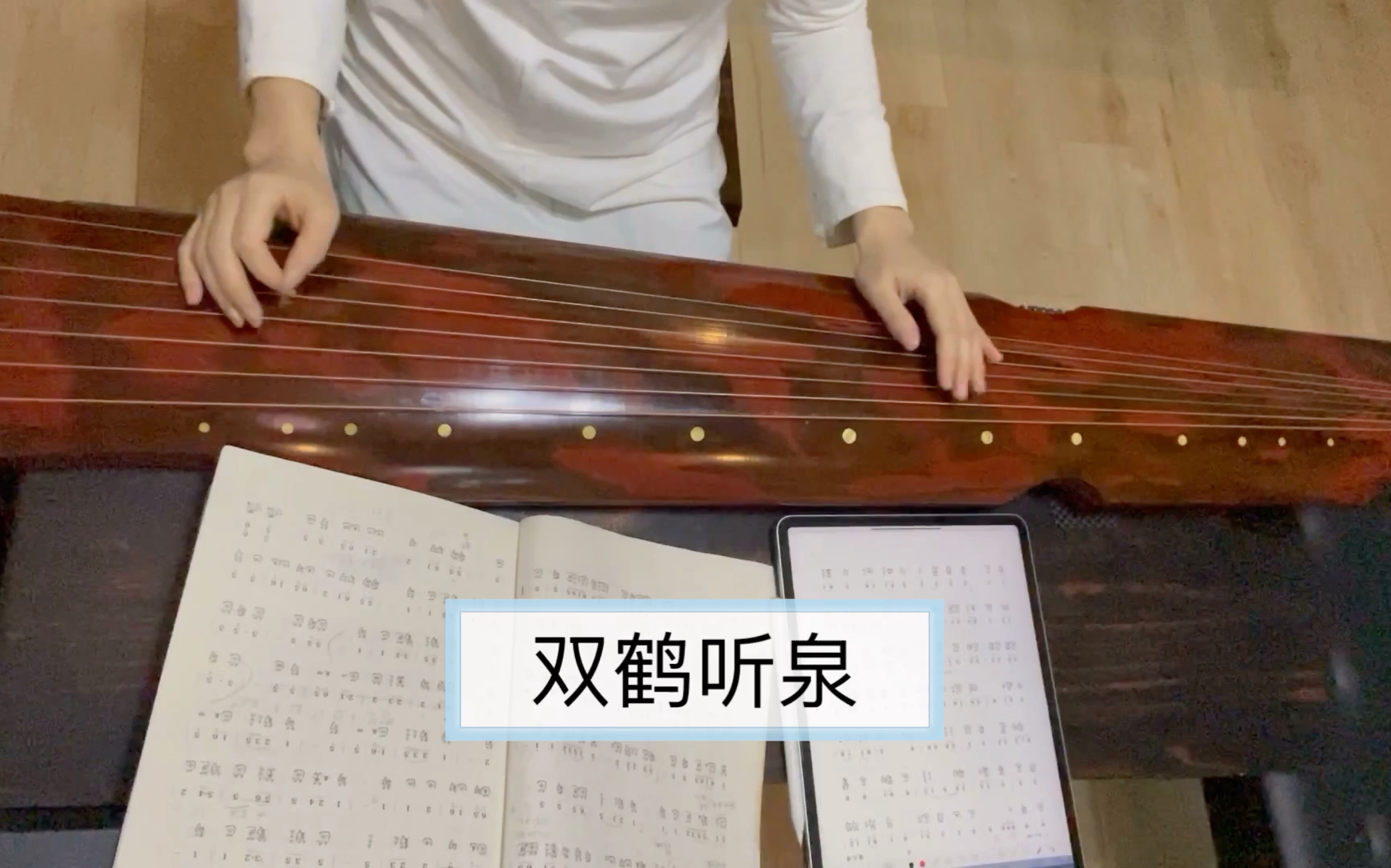 古琴曲《双鹤听泉《听泉引)