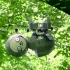 慢有慢的道理！美国“佛系”树懒机器人助力环保