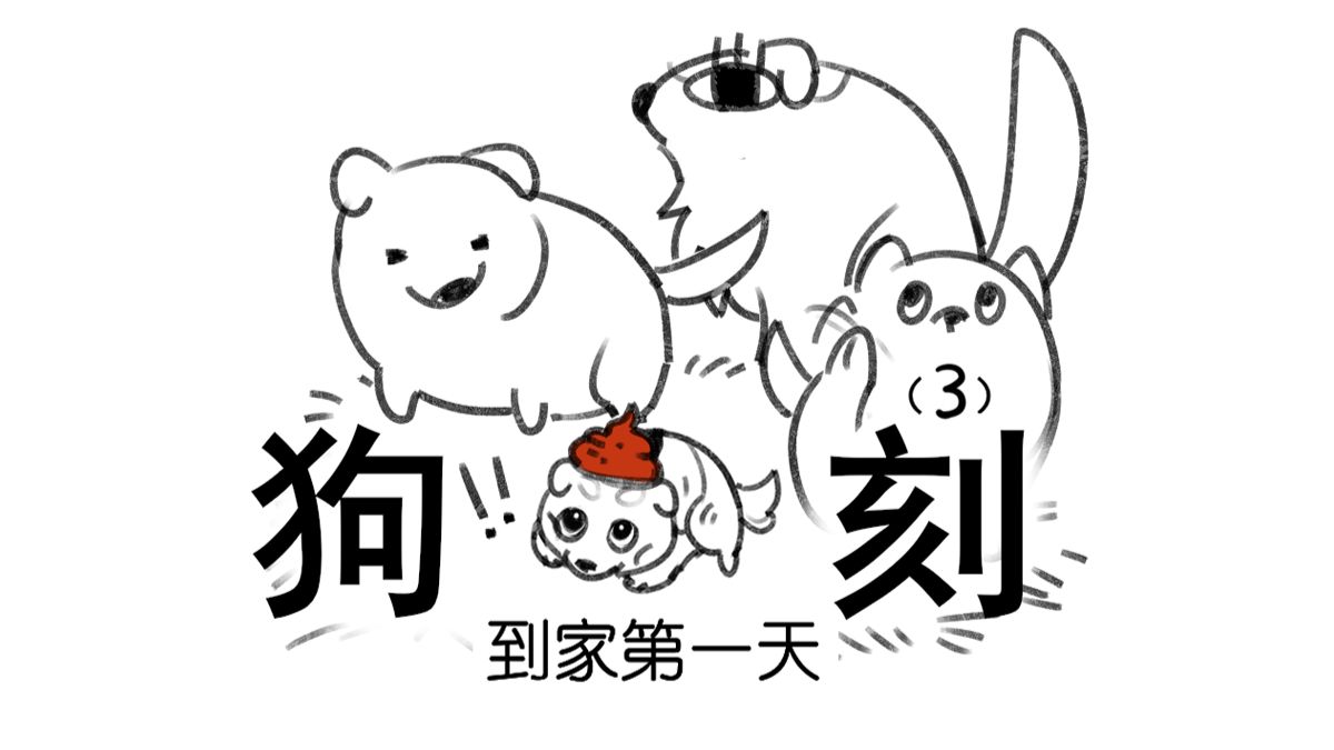 全款拿下凑小狗！