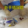 [0095]新手插尿管，UP亲自实操演示，为小便失禁患者插尿管可以显著提高患者生活质量，降低护理强度