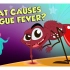 What Causes Dengue Fever？ ｜ DENGUE ｜ The Dr Binocs Show