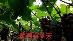 d9bf2bfec2694ba4b34d8bb5918b13b234e14ab1.jpg@280w_158h_1c_100q.jpg