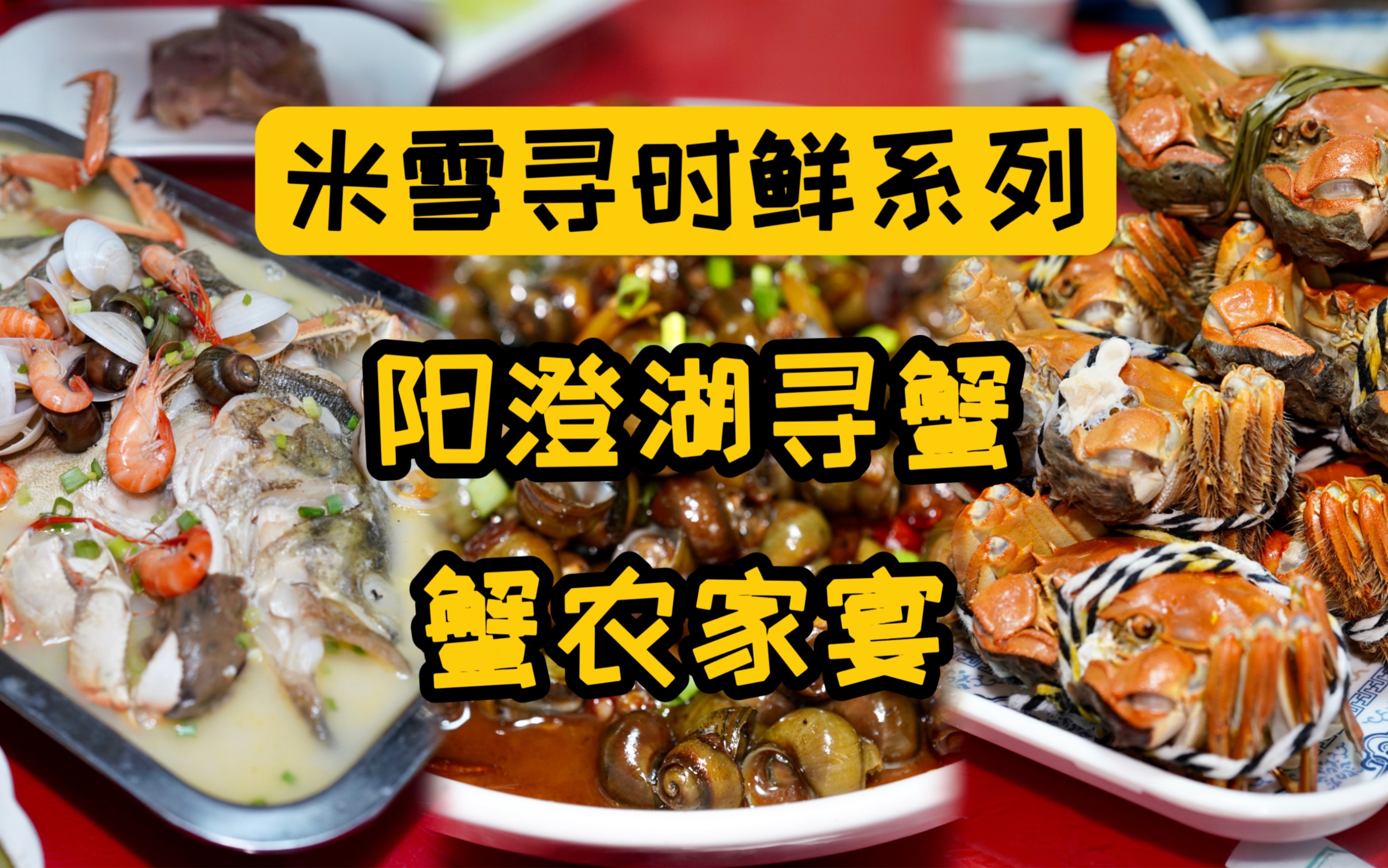 福建人在上海开的社区老店，熬了20年的老汤，卤个大肠是啥味道？-米雪食记-米雪食记-哔哩哔哩视频