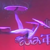 07唐小雨 （柔术转毯）山东商会表演