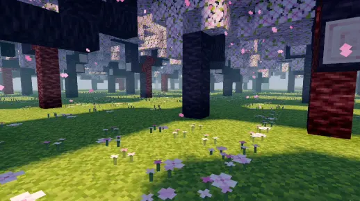 我的世界樱花树