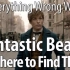 Everything Wrong With Fantastic Beasts & Where To Find Them