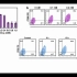 文献Responsive Exosome Nano‐bioconjugates for Synergistic Canc