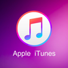 保姆级教程 iPhone ios系统如何传照片视频文件到电脑  iTunes如何上传照片视频文件到电脑