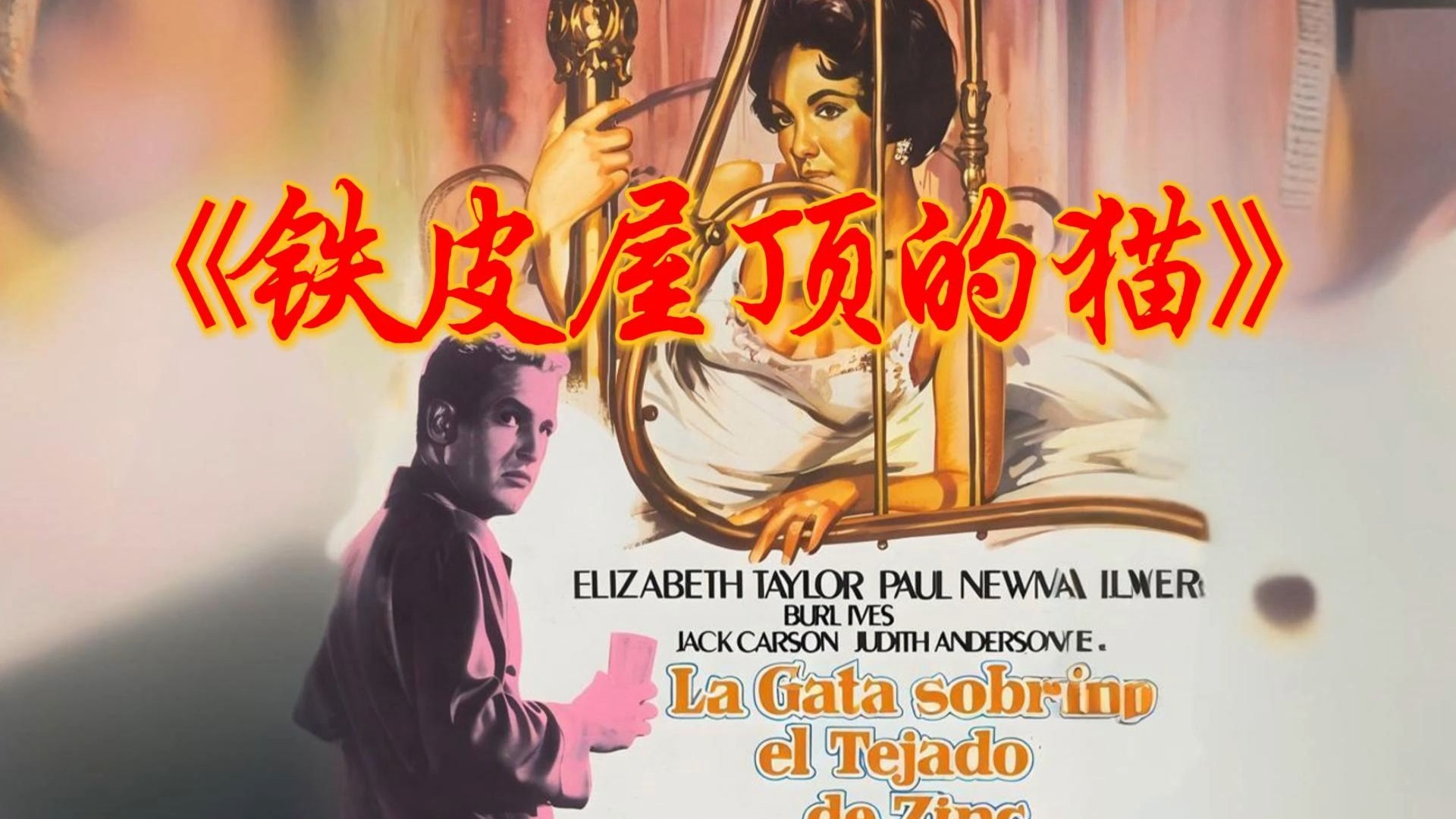 一个贵妇的小小心愿《铁皮屋顶的猫》伊丽莎白 泰勒