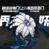 海中花，镜中月【02】棘皮动物门(上)——海百合亚门