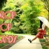 【花卷】drop pop candy【试跳】【救命腿踢不上去啦TAT】