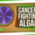 【SciShow科学秀】抗击癌症的转基因藻类 @柚子木字幕组