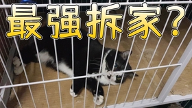 da5d2ff1c9967cb46204c8db60c6f69d27bc2581.jpg@280w_158h_1c_100q.jpg