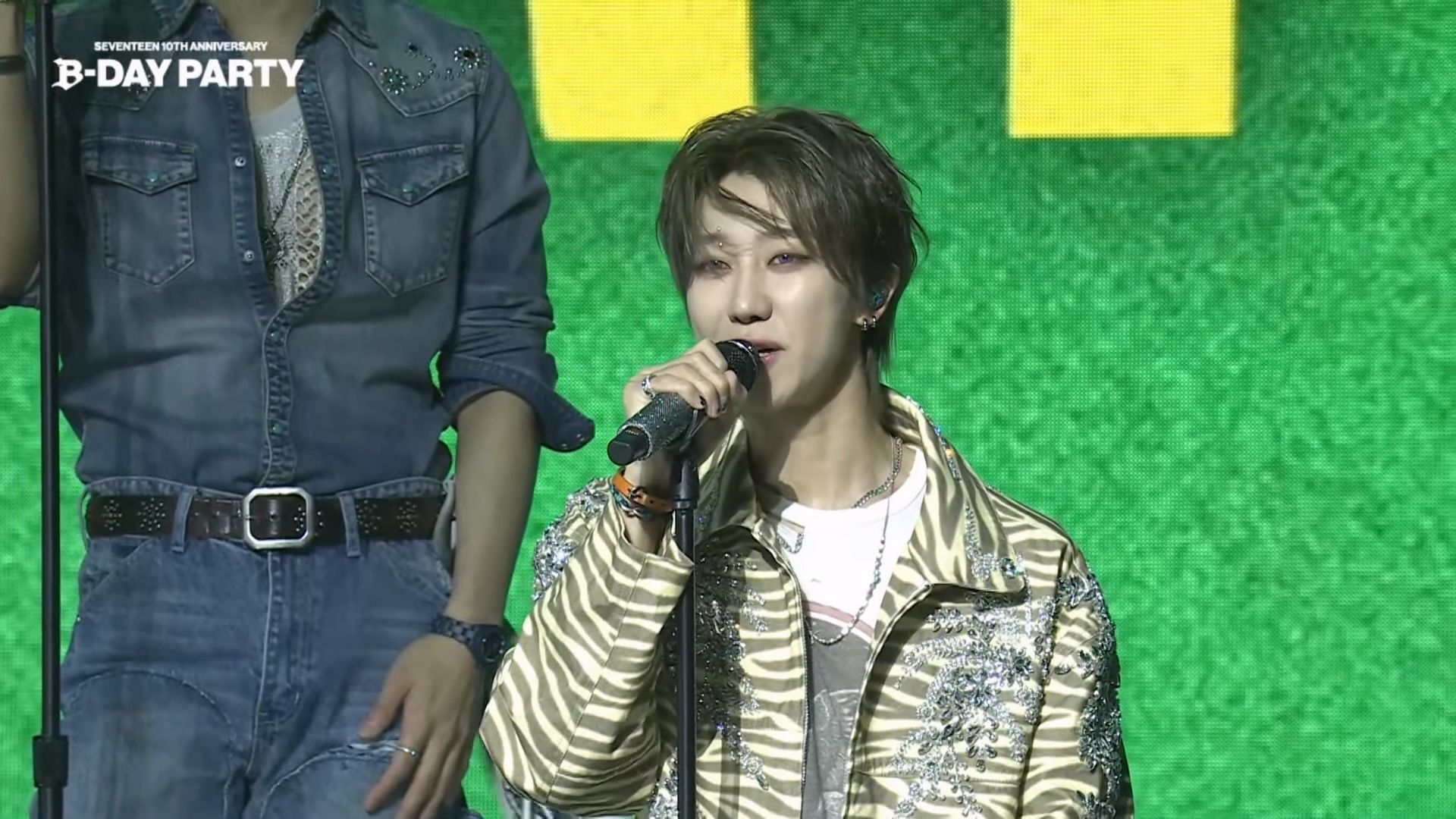 250525 SEVENTEEN - HBD | 十周年B-DAY PARTY@潜水桥 零站