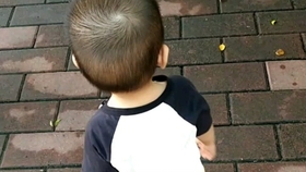 几个月可以练习自主进食 da6d8a21beffd9fe0731739f6380cb7de906a5e1.jpg@280w_158h_1c_100q.jpg