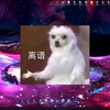 内存打开XMP教程，为啥你的频率只有