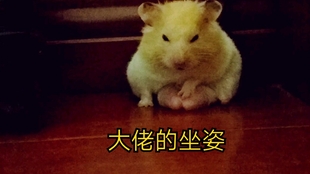 da73c7d902099ce6c2d848d849d5c18aea2ac683.jpg@310w_174h_1c_100q.jpg