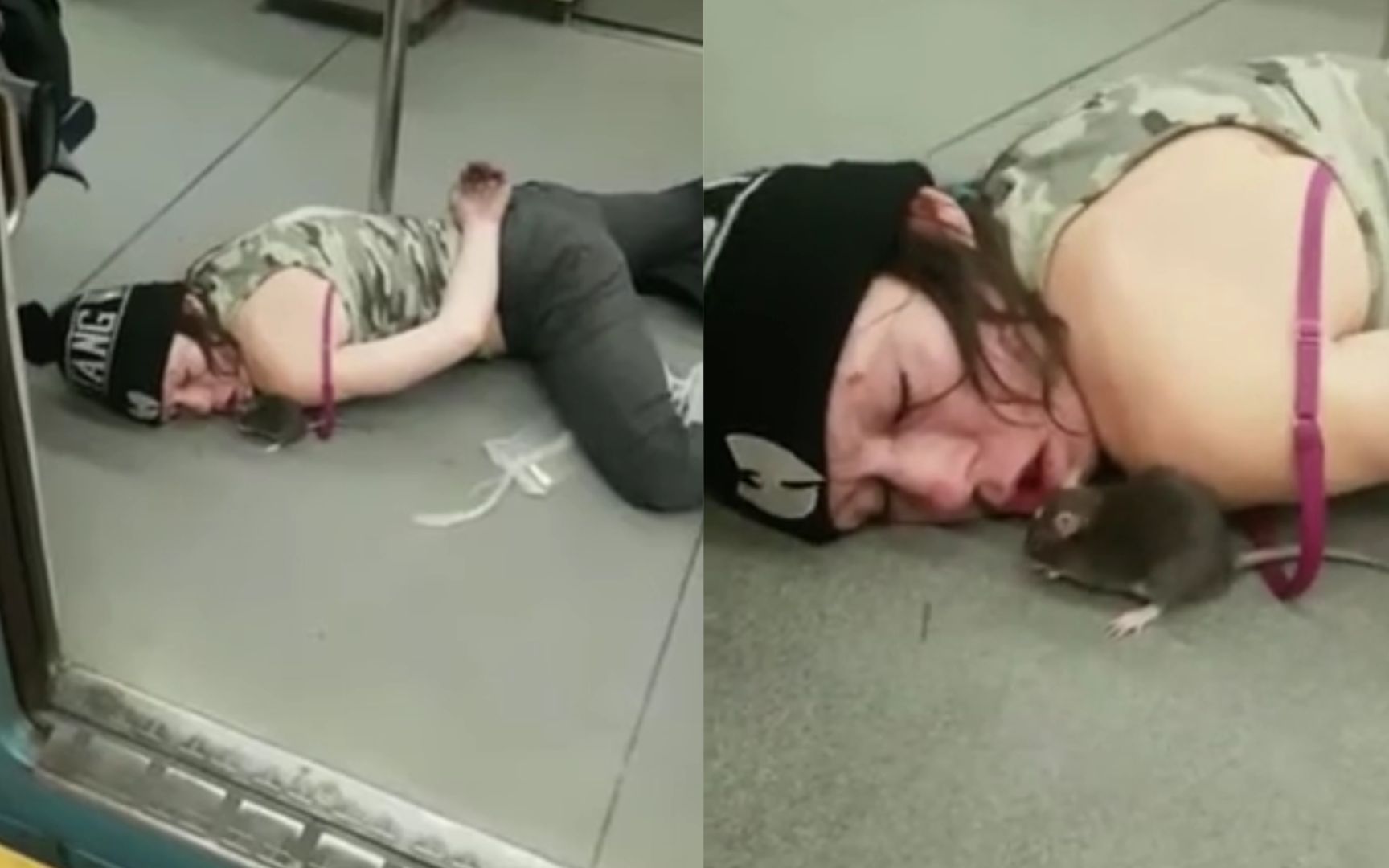 可怕！女子醉倒地铁车厢内，遭老鼠“捡尸”扒开嘴狂钻