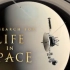【Netflix】寻找宇宙生命 官方双语字幕 The Search For Life In Space (2016)