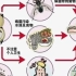 霍乱为何被列为甲类传染病？它究竟有什么危害？