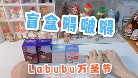 泡泡玛特拉布布 dab66f7b0941890c7bb614a4072fb9cf1e53210b.jpg@280w_158h_1c_100q.jpg