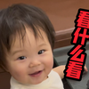才几秒没见又开始整活