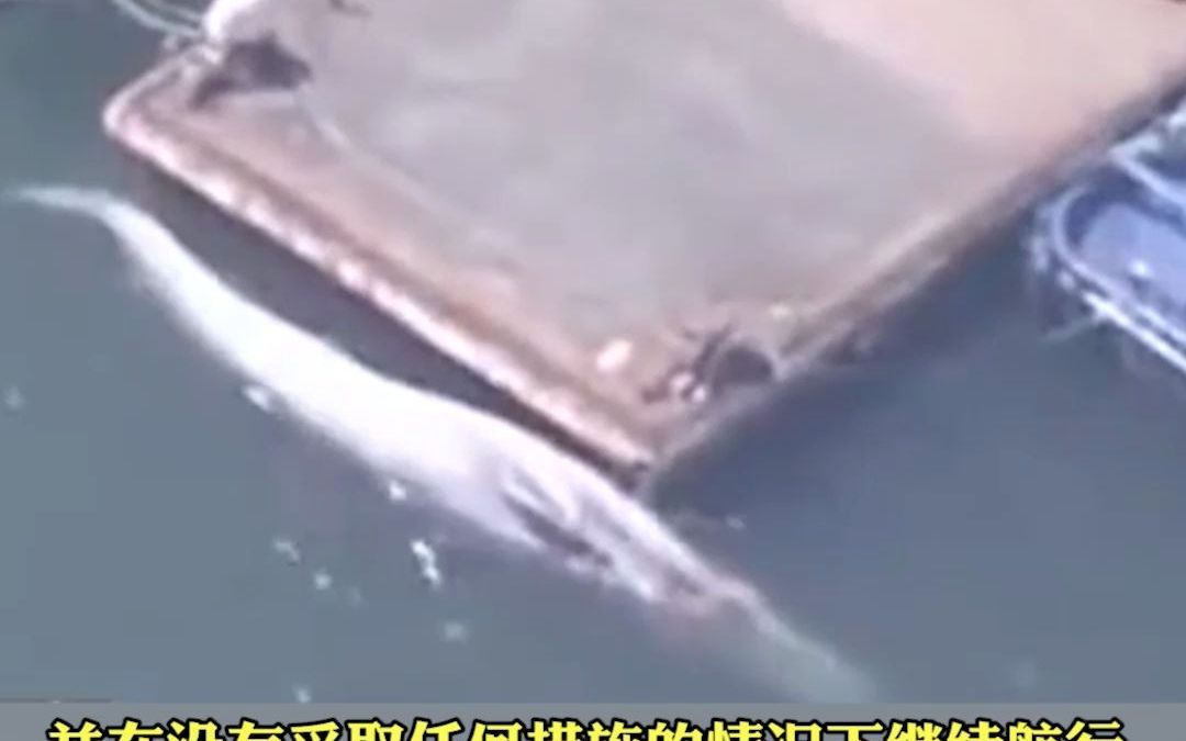 场面惊人！日本货船驶入港口，船头挂着一头鲸鱼死尸