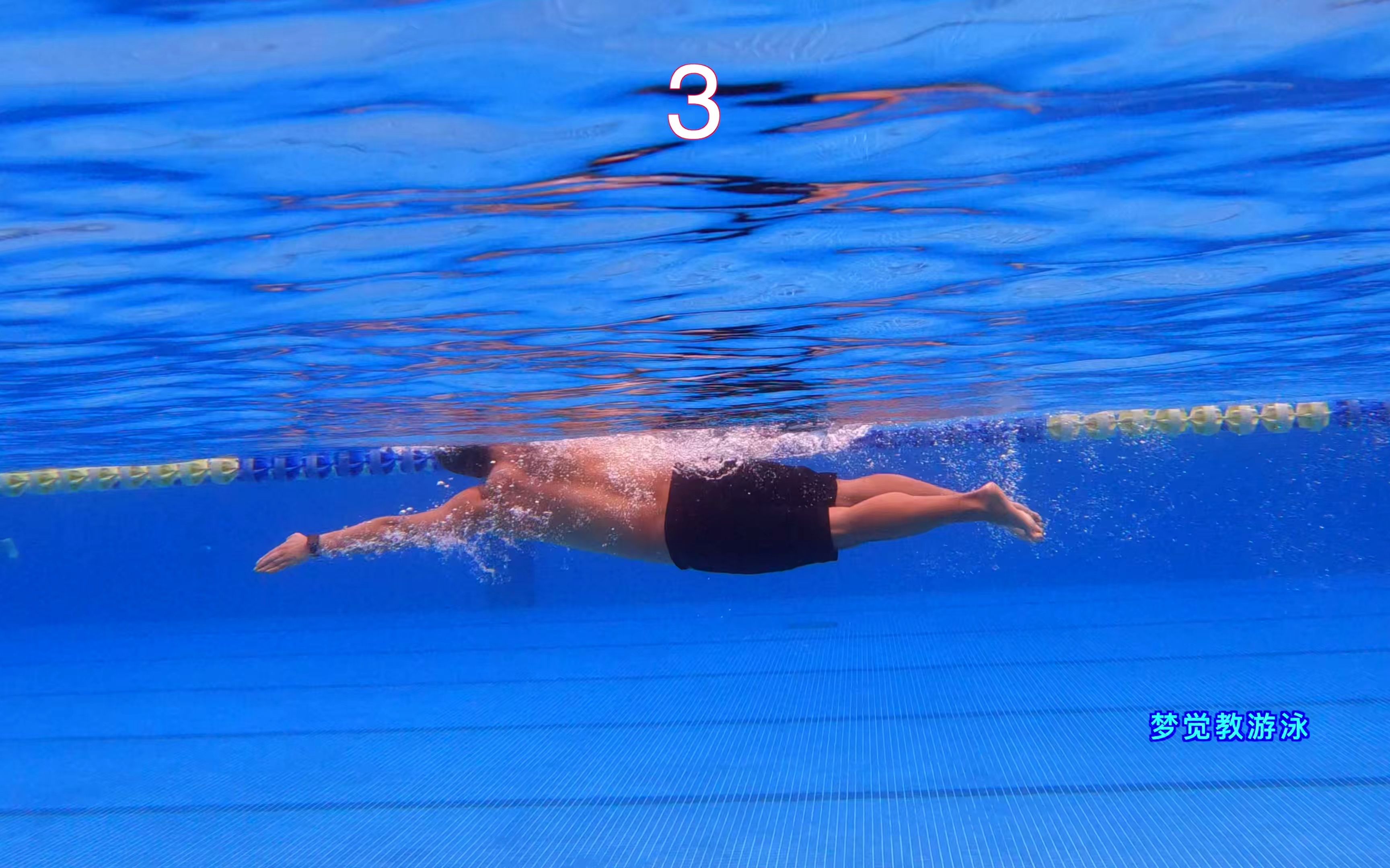 freestyle！学会最标准的自由泳，看这一个视频就行！_哔哩哔哩_bilibili