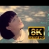 【8K超清】王菲 - 匆匆那年 MV 电影「匆匆那年」主题曲