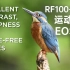 【佳能欧洲】为极限而生 EOS R5 R6配 RF 100-500mm F4.5-7.1 L IS USM镜头连拍