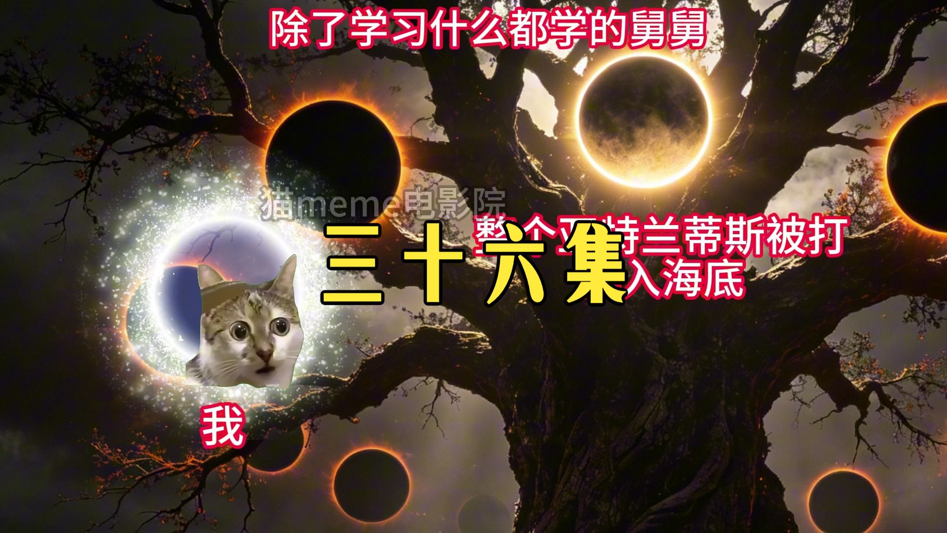 除了学习什么都学的舅舅！！三十六集！！
