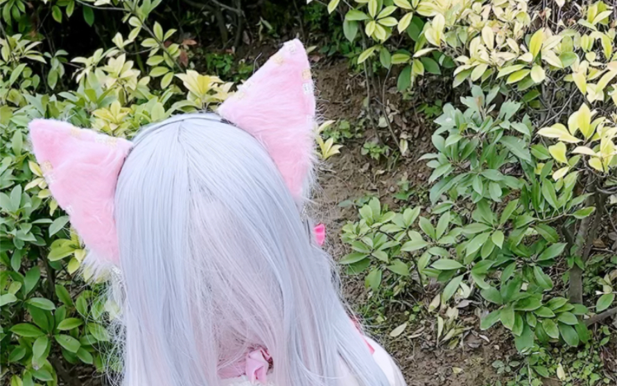 [Softie Cat has become an adult] Video loading, check out the surprises quickly!