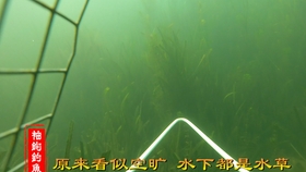 db484db27e43febc8244d06a2da1a34d3d4bcee1.jpg@280w_158h_1c_100q.jpg