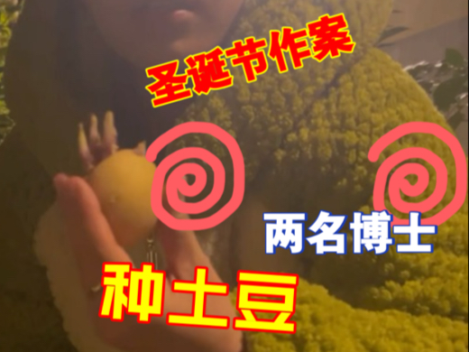 两名博士在圣诞夜间作案