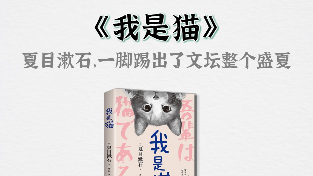 5分钟读一本书，今天我们读《我是猫》