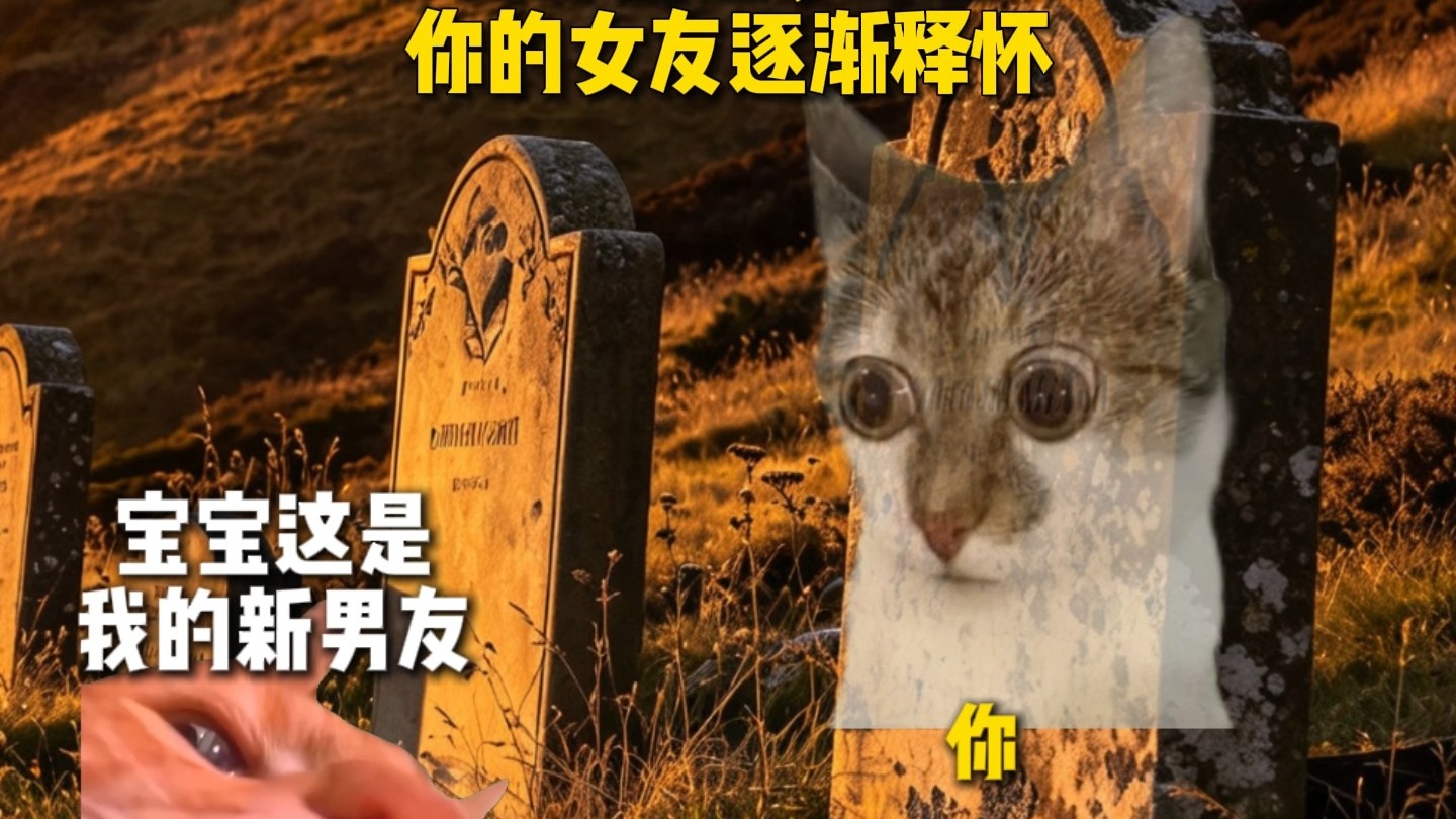 “吾儿虽傻 其寿如龟”