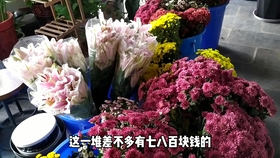 db9f56797c1fb00df09e262e1c81ccaaeadea09b.jpg@280w_158h_1c_100q.jpg