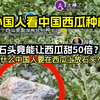 外国人看中国西瓜种植 石头竟能让西瓜甜50倍？ 歪果仁评论弹幕
