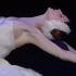 【芭蕾】天鹅之死 the dying swan -  Svetlana Zakharova