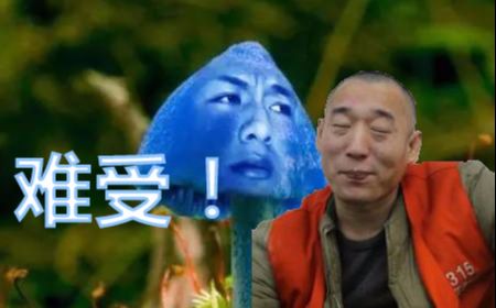 大力哥浑身难受表情包分享展示