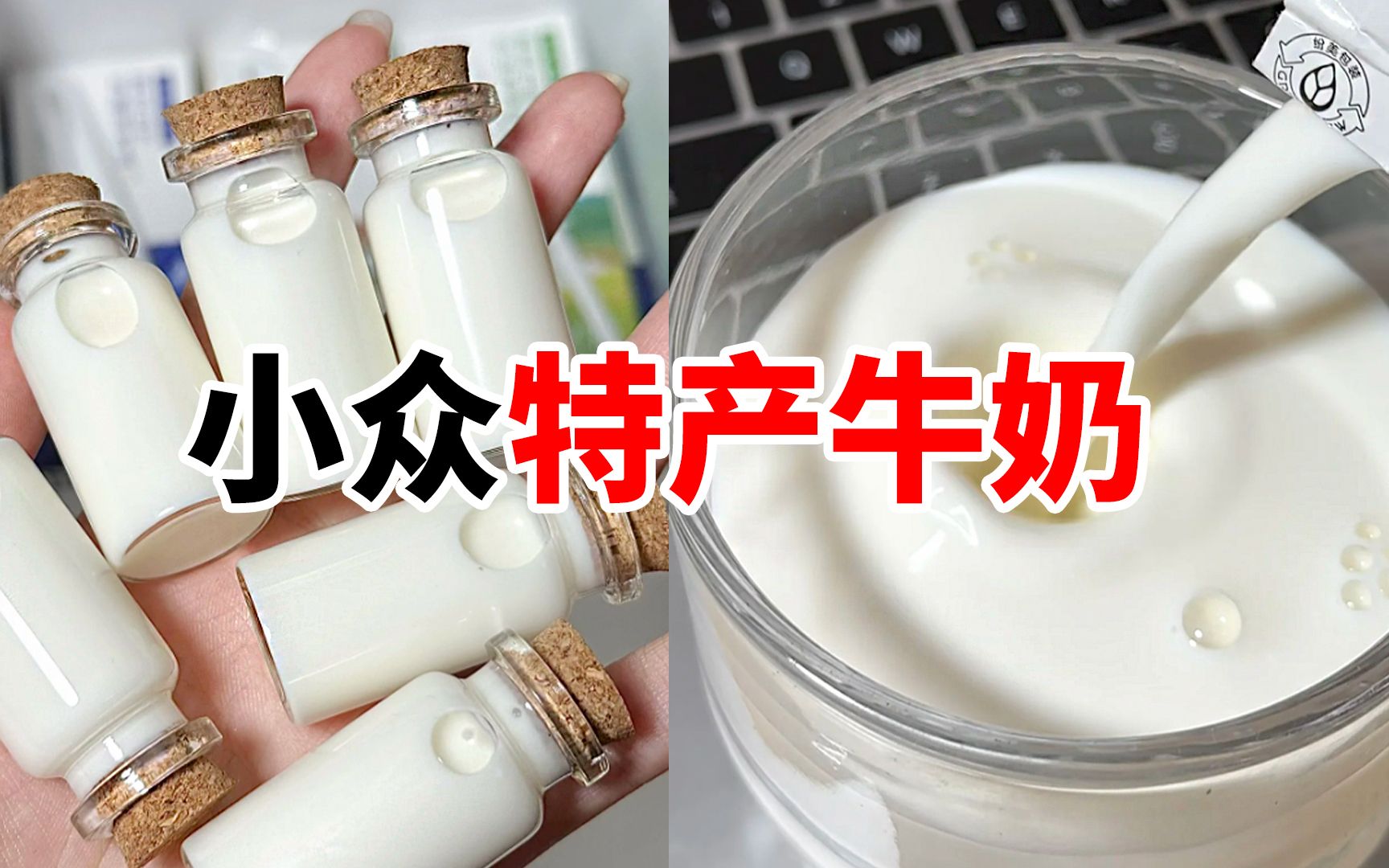 3款！吊打商超的，小众特产牛奶！