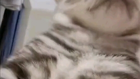 dc0f9305c14981052c26a5b525bf437f013837ba.jpg@280w_158h_1c_100q.jpg