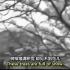 朝鲜纪录片 让我们来看看水深火热的美帝人民_（渣画质）
