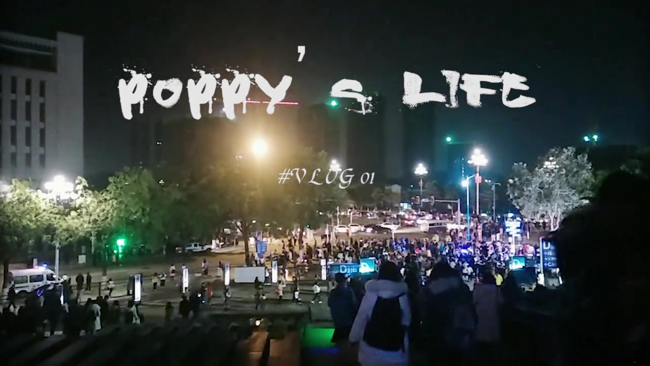 POPPY'S VLOG 01 # 20182019湖南跨年演唱会 # 王源宝贝&渺小知音哔哩哔哩bilibili