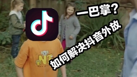 人均抖音外放_抖音图片